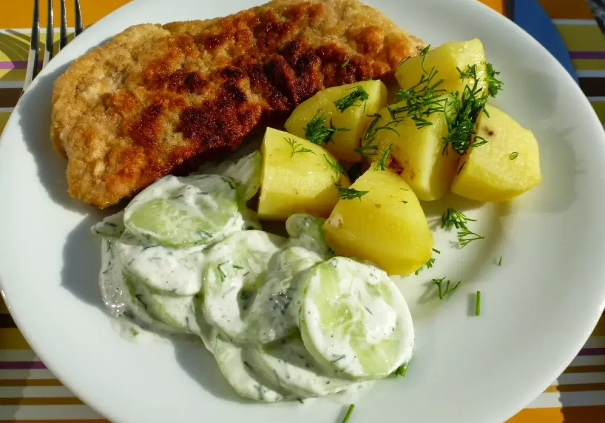 Pyszny schab na obiad, podany z ziemniakami i mizerią.