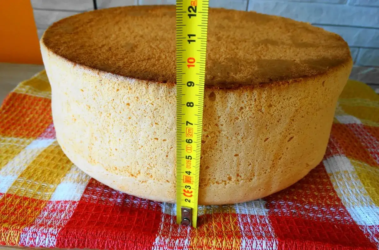 Puszysty biszkopt z 6 jaj, mierzący ok. 9 cm wysokości, prezentuje się apetycznie na kolorowym obrusie.